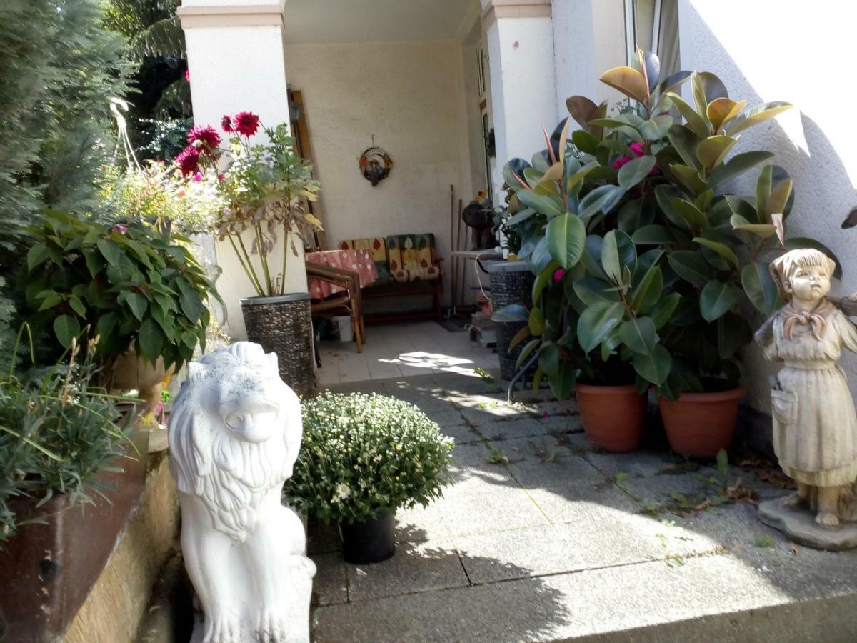 Dach-Studio-Runkel Schadecker Strasse 6 Exterior foto